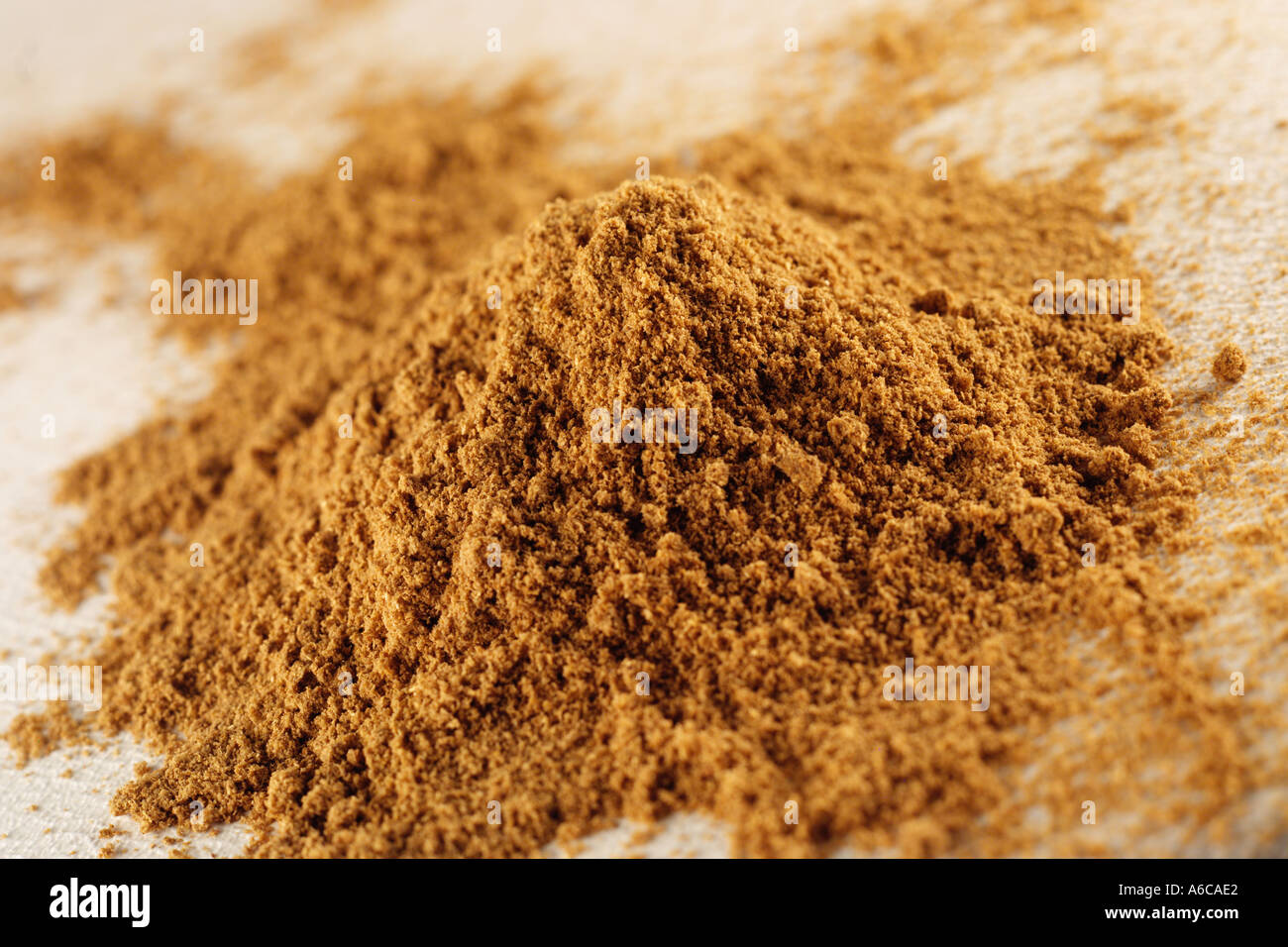 GROUND CORIANDER GROUND CILANTRO Stock Photo Alamy