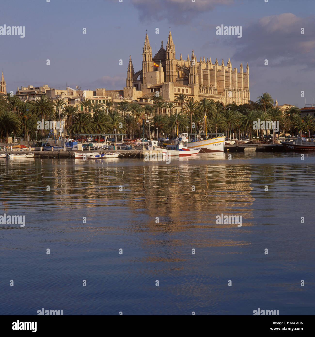 Palma Cathedral viewed over old fishing port (Muelle Viejo - Old Quay ), Palma de Mallorca, Balearic Islands, Spain. Stock Photo