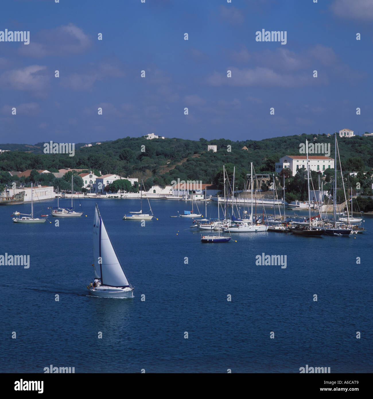 Scene looking North with sailing boat and moorings in the Port of Mahon