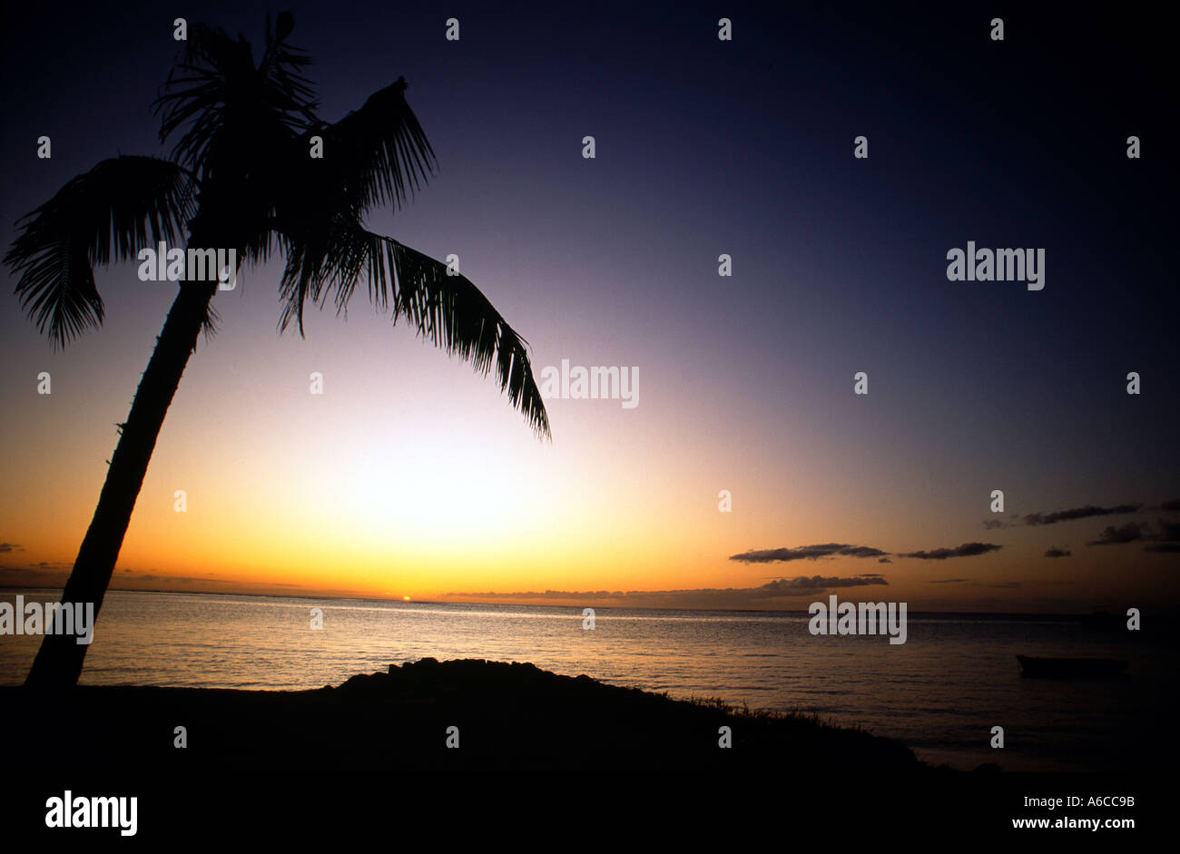 Leaning palm tree sunrise hi-res stock photography and images - Alamy