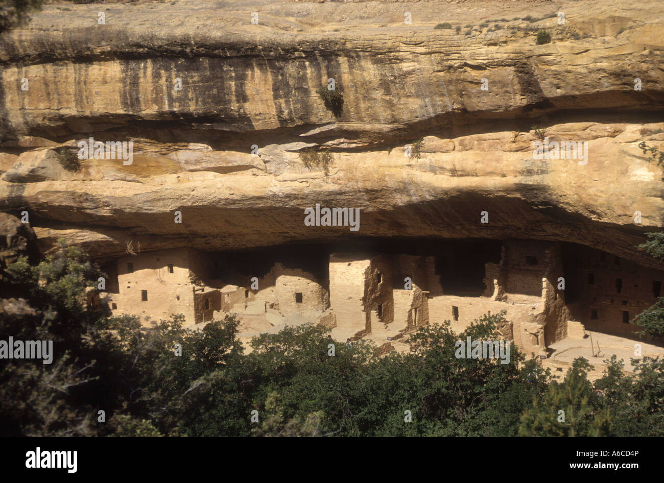 Ancient Cliff Dwellings At Mesa Verde National Park In Colorado USA ...