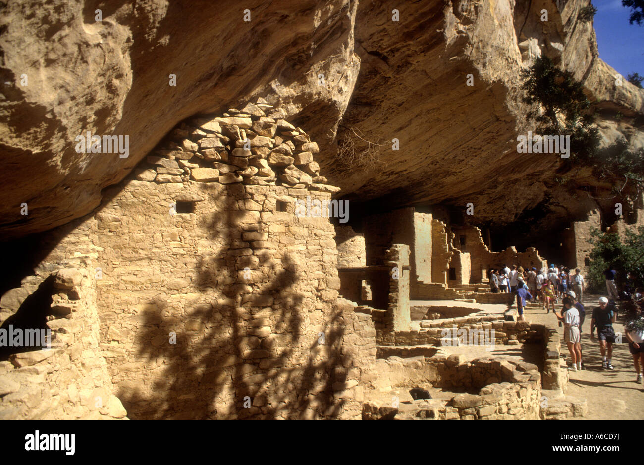 Ancient Cliff Dwellings At Mesa Verde National Park In Colorado USA ...