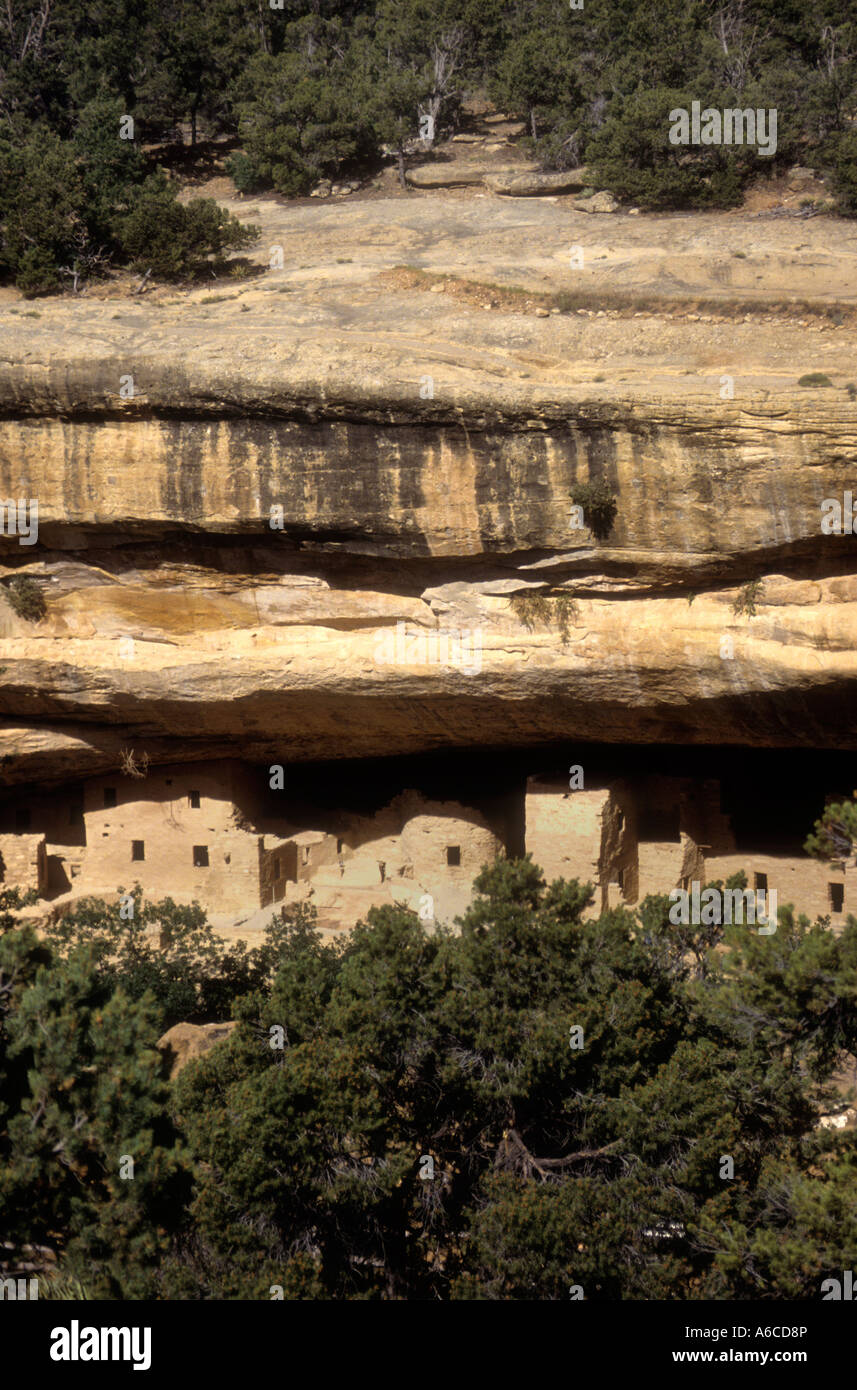 Ancient Cliff Dwellings At Mesa Verde National Park In Colorado USA ...