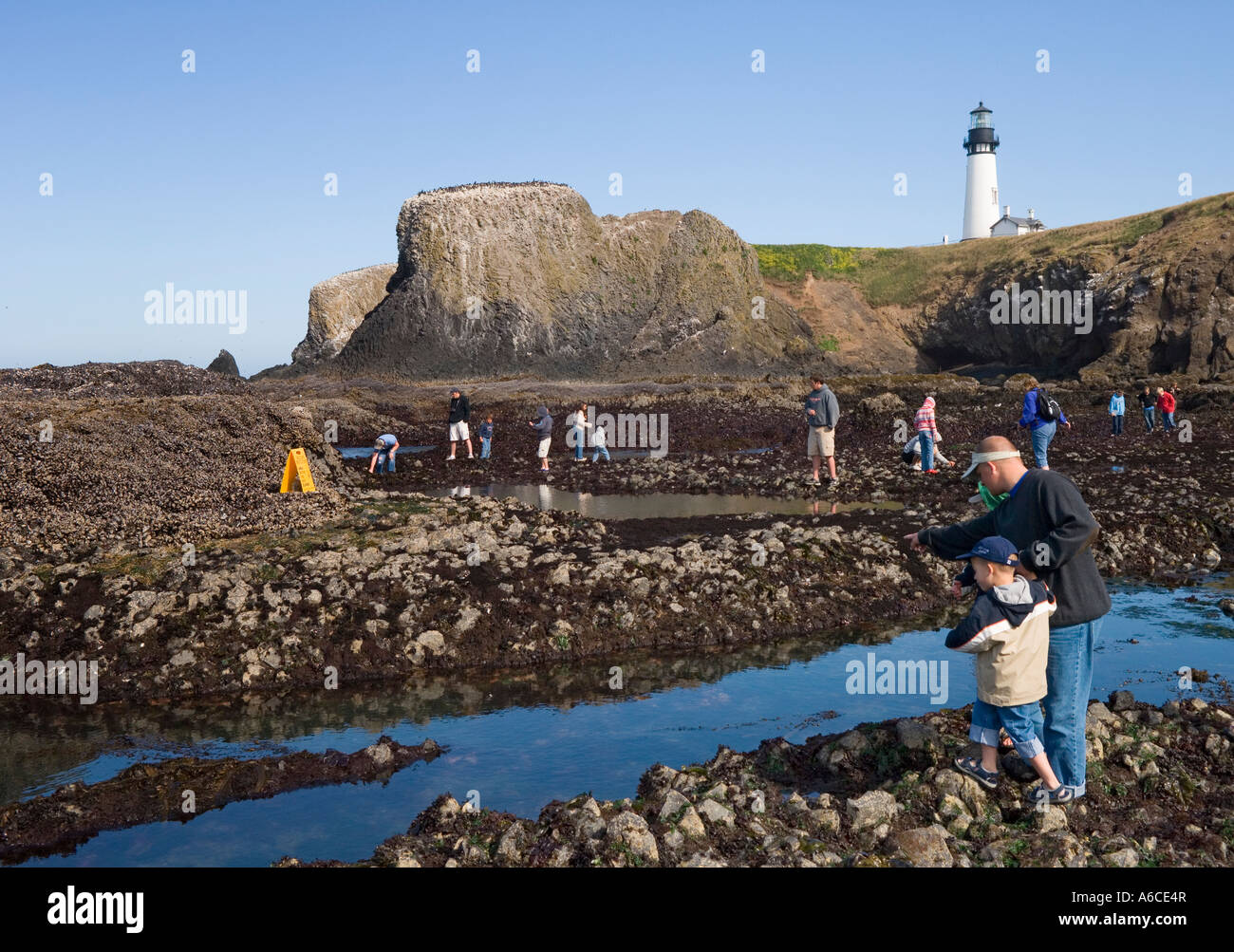 People viewing tide pools at Yaquina Head Outstanding Natural Area on