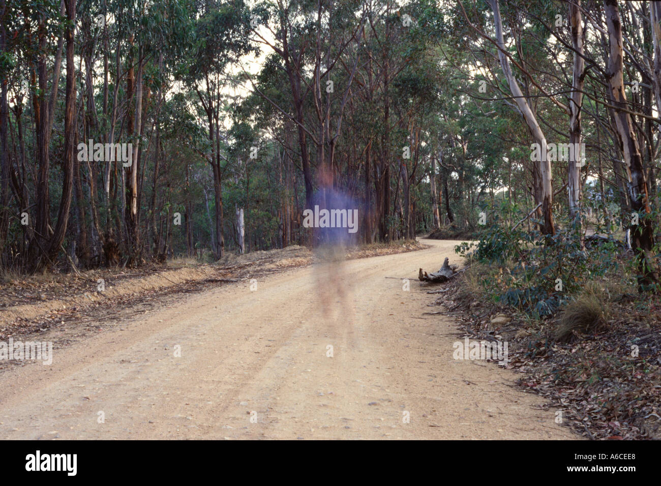 Lost jungle man hi-res stock photography and images - Alamy