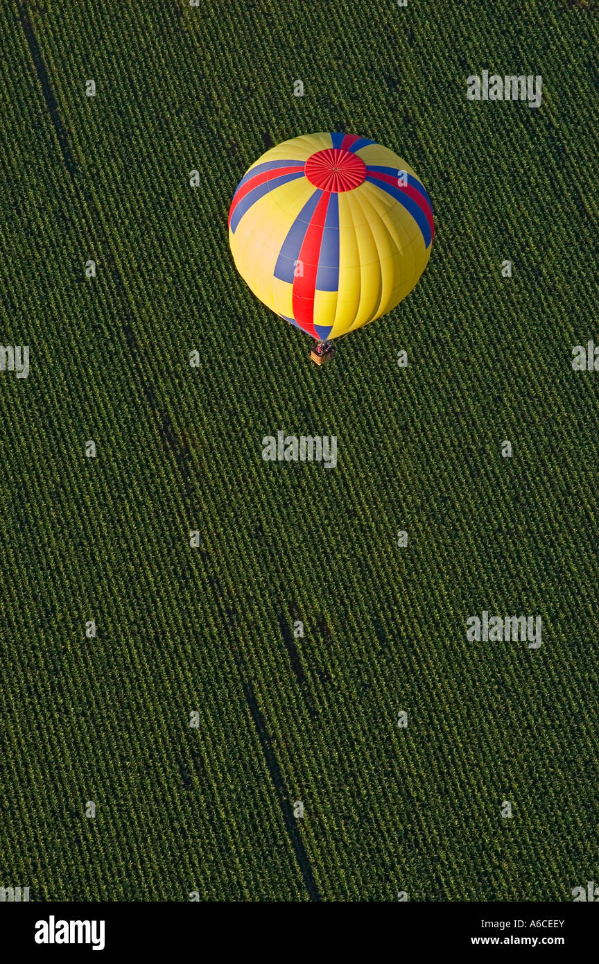 Vista Balloon Adventures hot air balloon ride over Willamette Valley