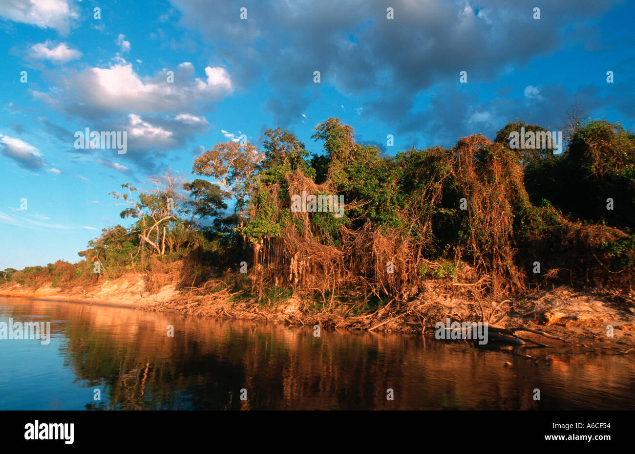 River Javaés Ilha do Bananal Tocantins Brazil Stock Photo