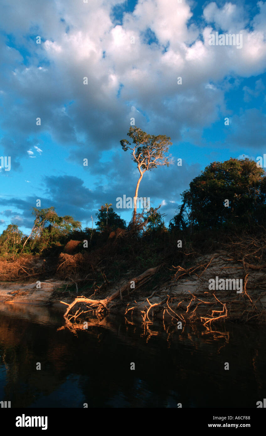 River Javaés Ilha do Bananal Tocantins Brazil Stock Photo