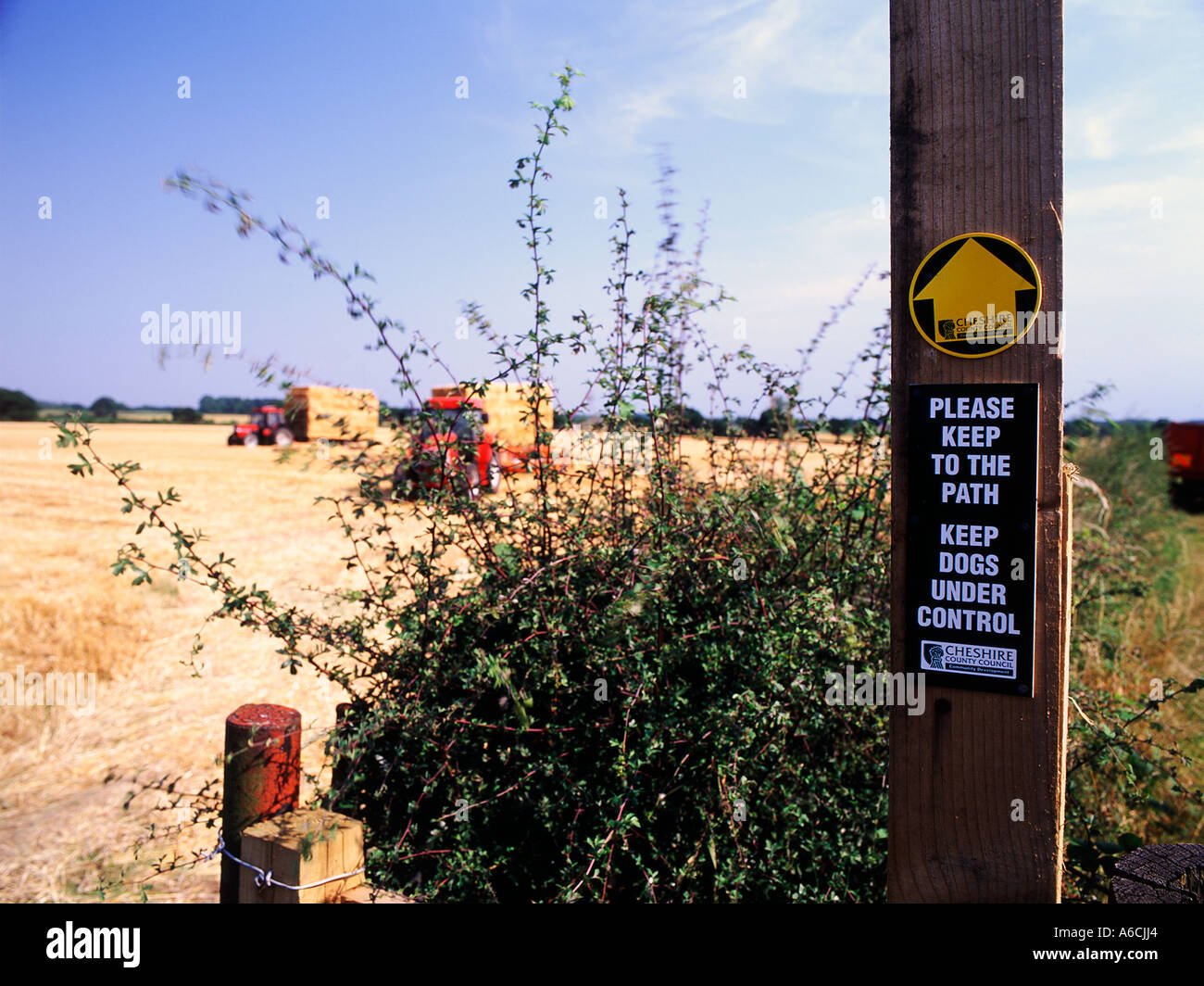 Sign on post warning to keep to path and keep dogs  under control adjacent to farm field in Cheshire Stock Photo