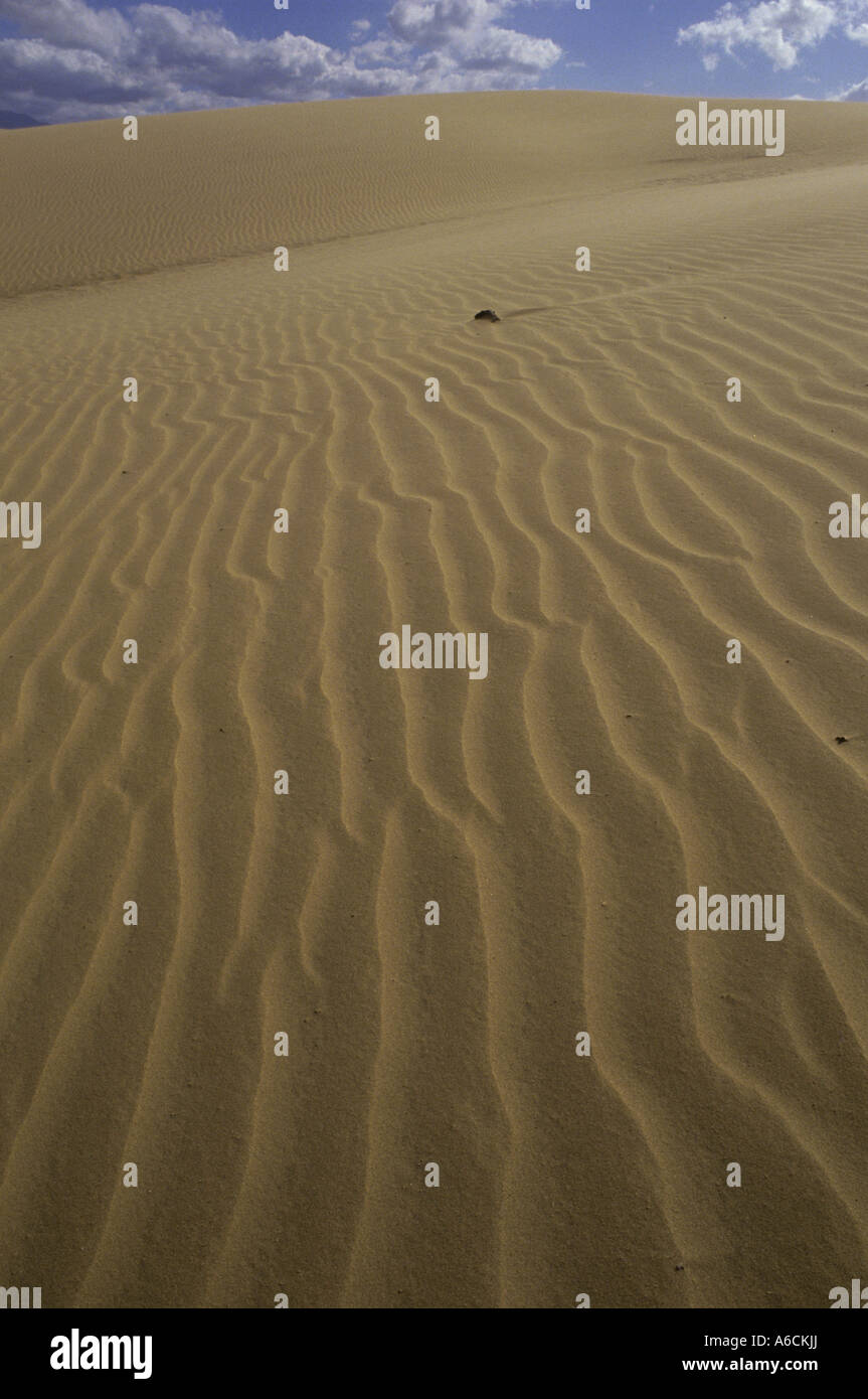 Sand dunes in the desert, Estado Falcon, Venezuela Stock Photo