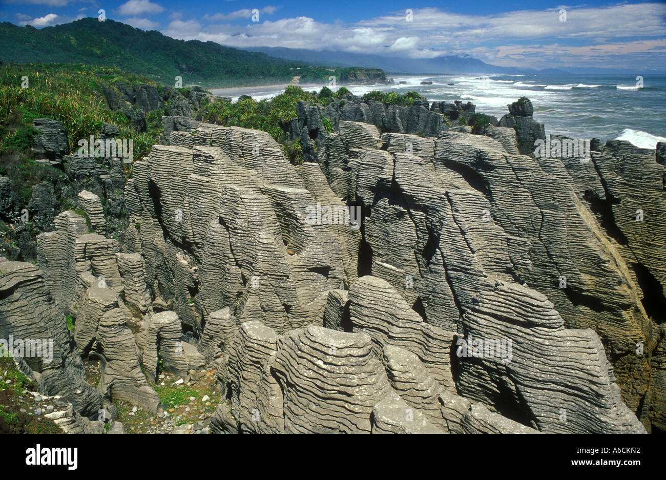 New Zealand South Island Paparoa National Park Pancake Rocks Limestone ...