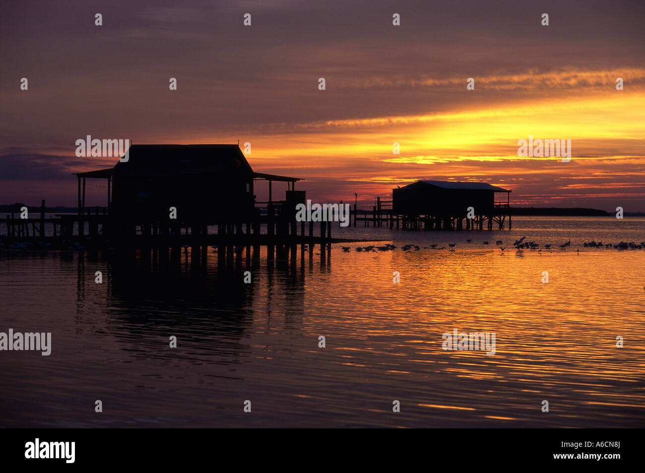 Silhouette of houses on the ocean at sunset Stock Photo - Alamy