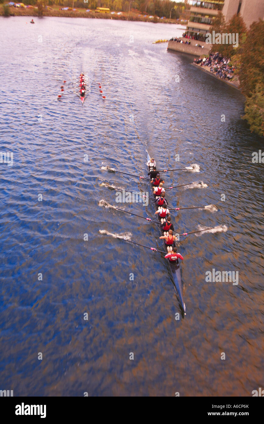 Overview of Rowing Race Stock Photo Alamy