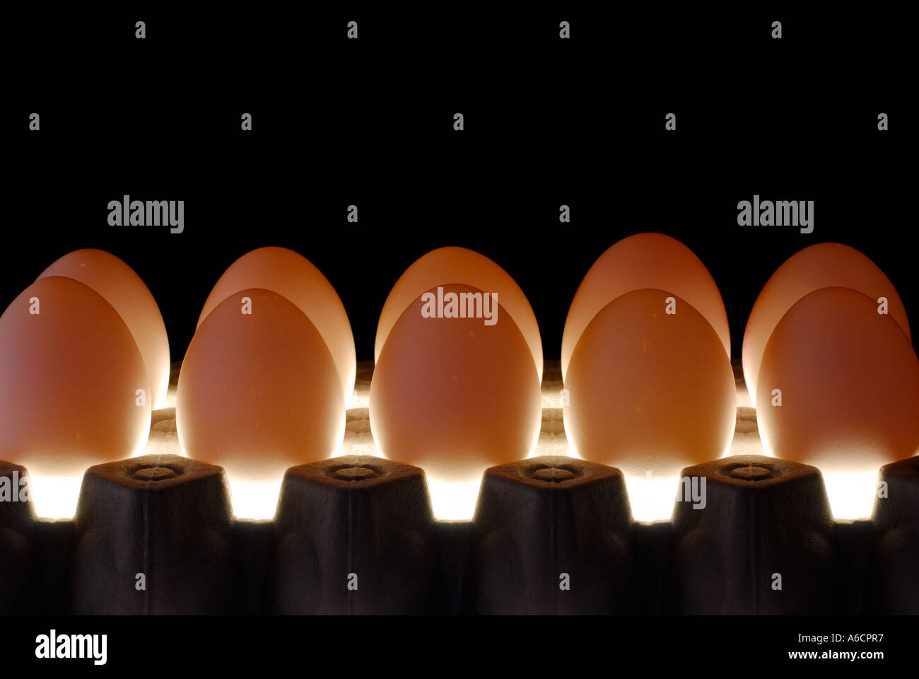 Row of glowing eggs on crate lit from underneath in the dark Stock