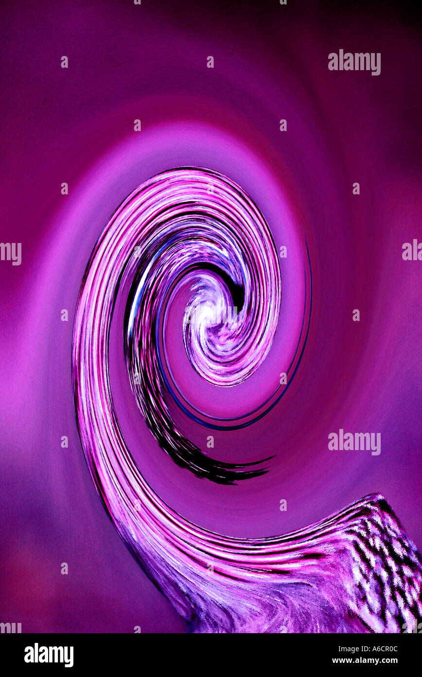 Greater roadrunner computer generated image Catching his tail Stock