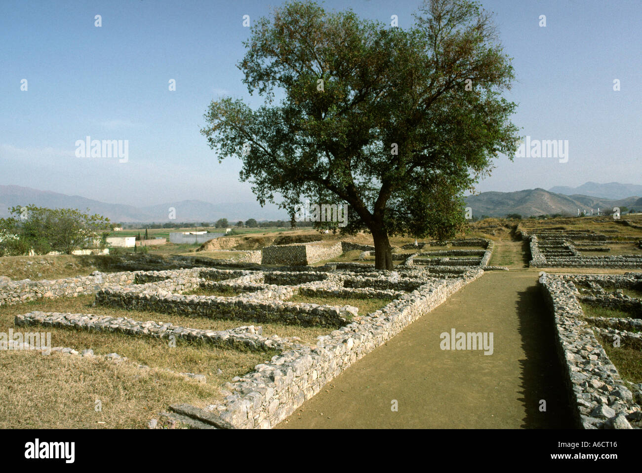 Pakistan Western Punjab Taxila archaeological site Sirkap city main street Stock Photo