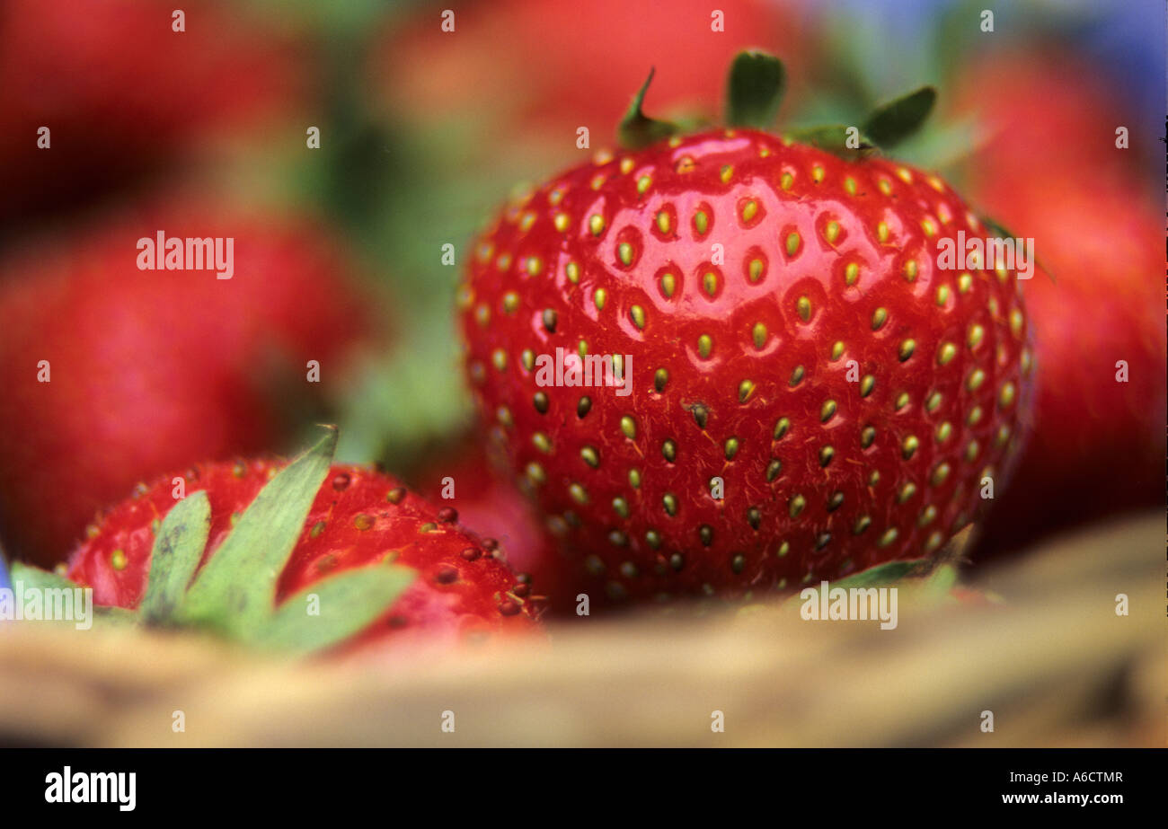 Strawberries in a basket UK Stock Photo