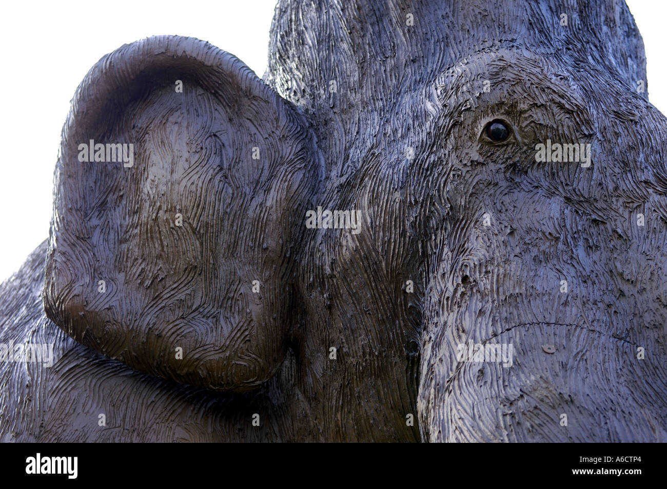 prehistoric head face large brown eye mammoth Stock Photo - Alamy