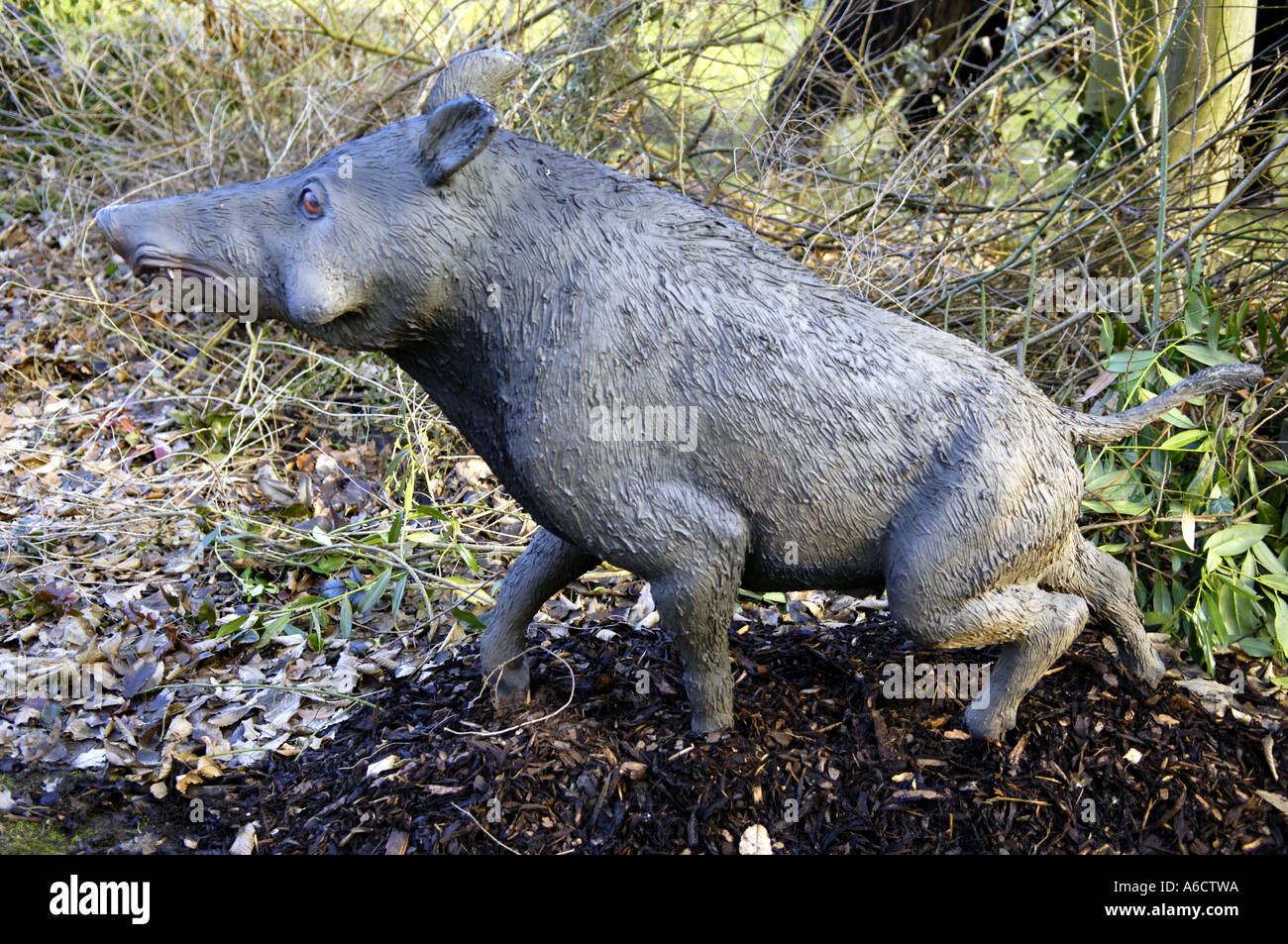 prehistoric animal tusks big large huge massive wild boar pig hog Stock  Photo - Alamy