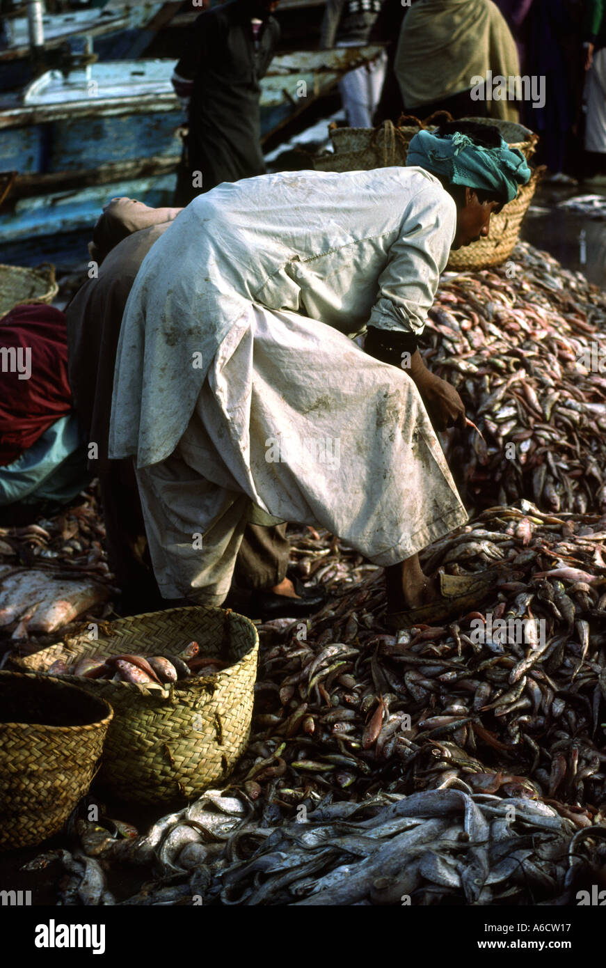 Pakistan Sind Karachi Fish Harbour fish being sorted for sale Stock