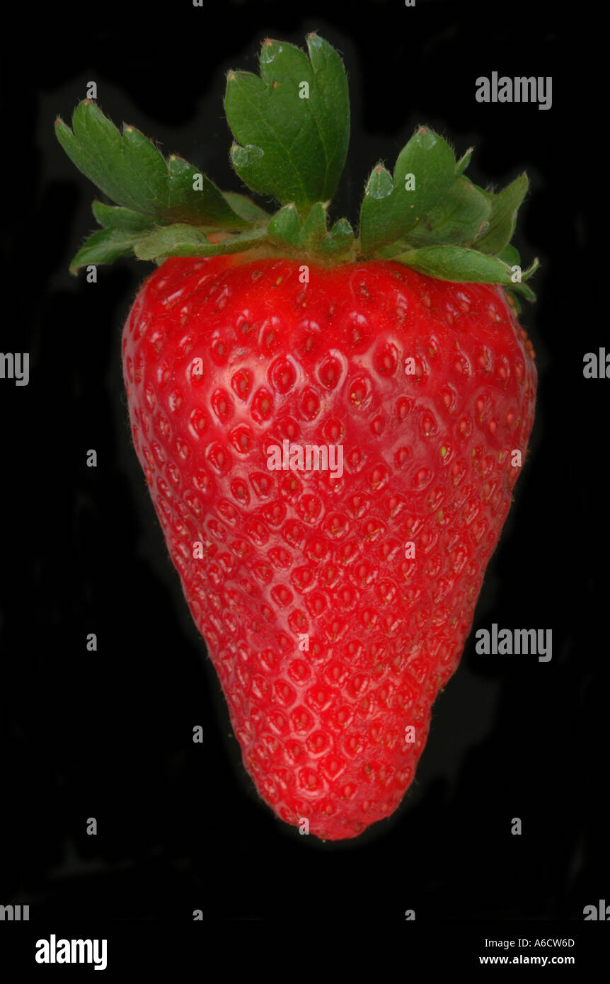 Quick strawberry cake hi-res stock photography and images - Alamy