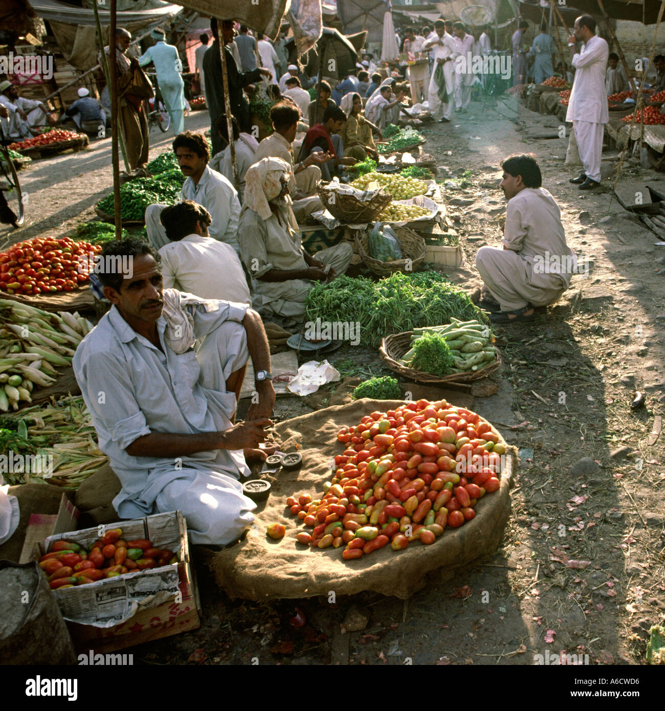Pakistan Rawalpindi Rajah Bazaar tomato stall in vegetable market Stock