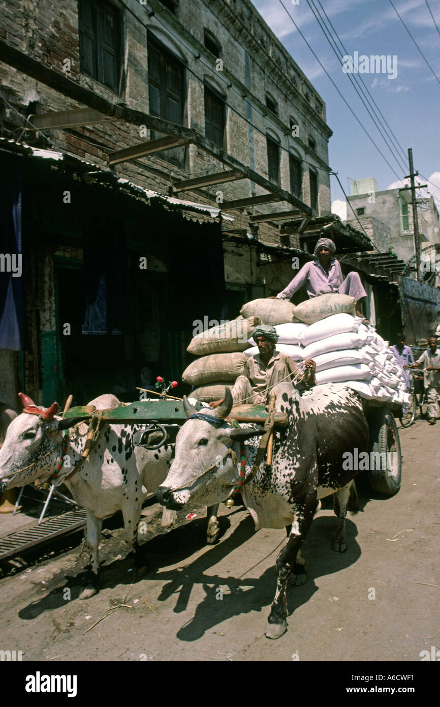 Pakistan Rawalpindi Rajah Bazaar Ox Cart loaded with sacks Stock Photo