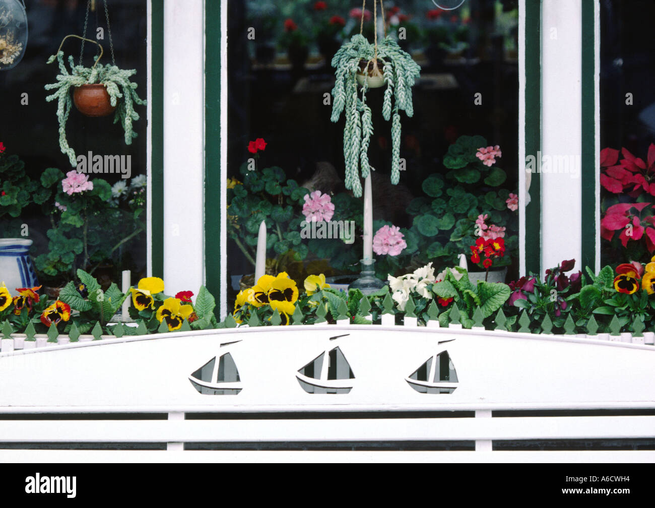 Window flower box amsterdam netherlands hi-res stock photography and images  - Alamy