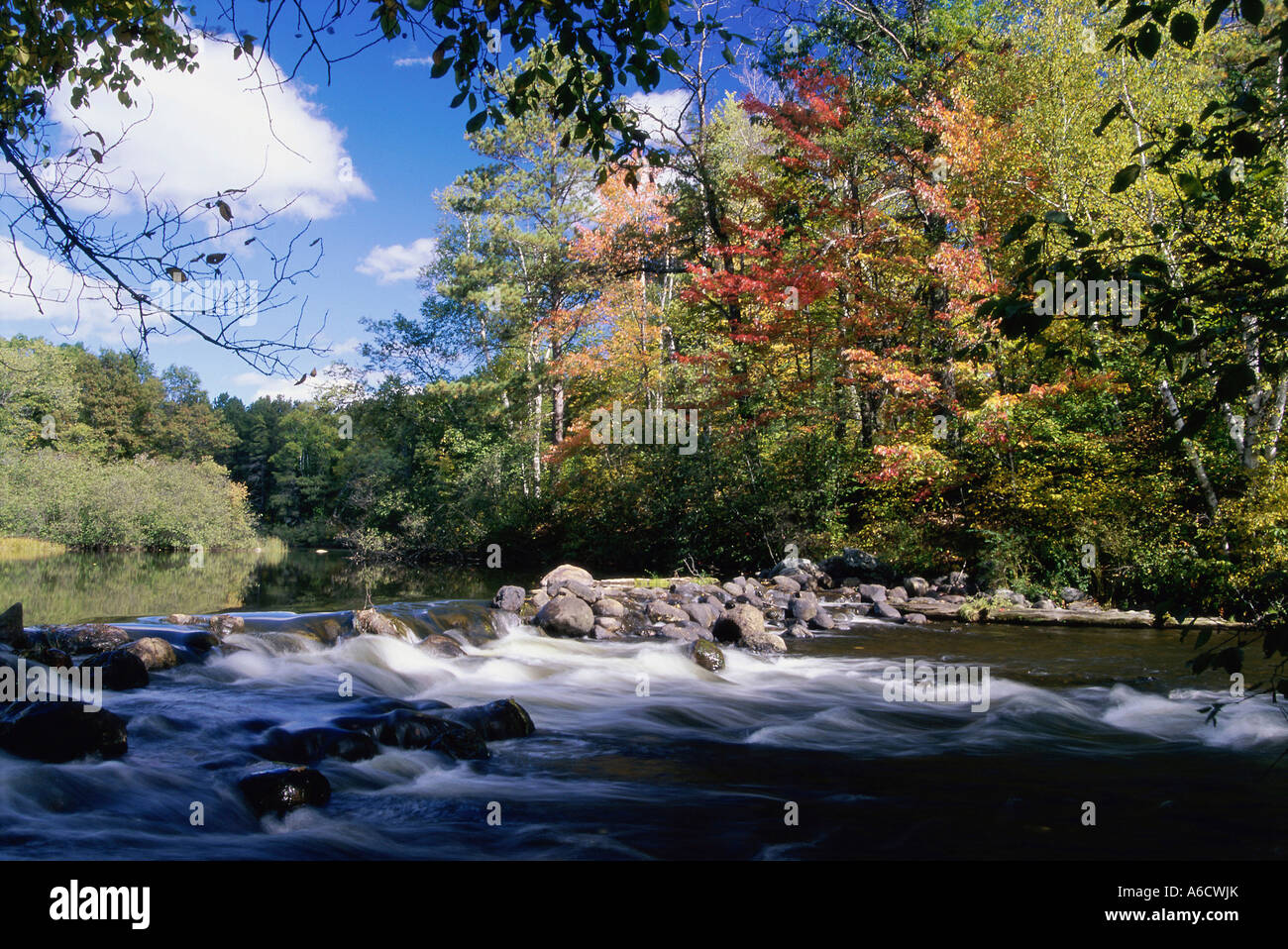 River running through a forest, Manitowish River, Wisconsin, USA Stock