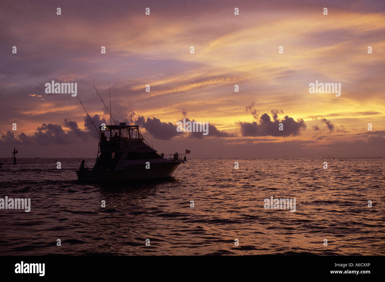 Sports on sunset background hi-res stock photography and images - Alamy