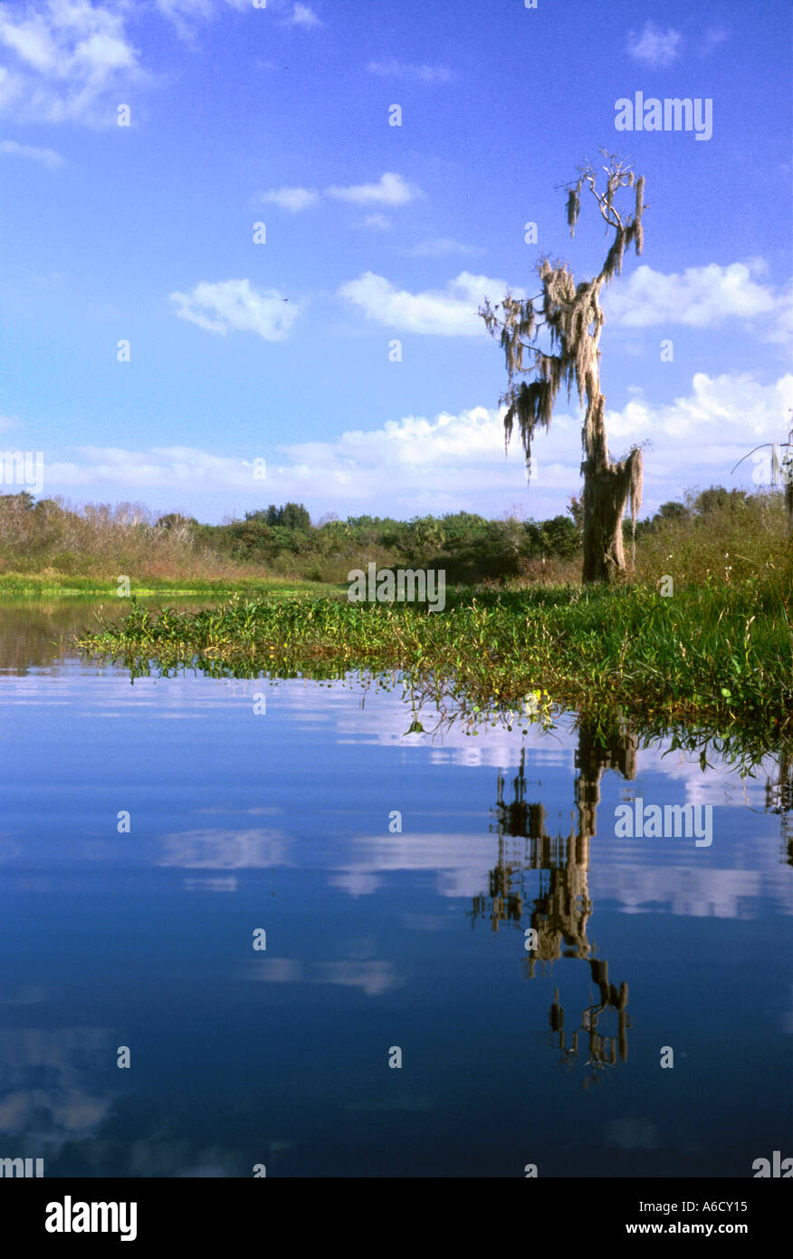 Kissimmee river hires stock photography and images Alamy