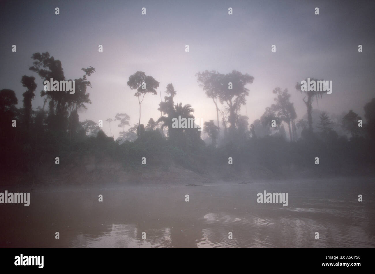 Mist clearing from the Purus River Amazon rainforest Acre Brazil Stock