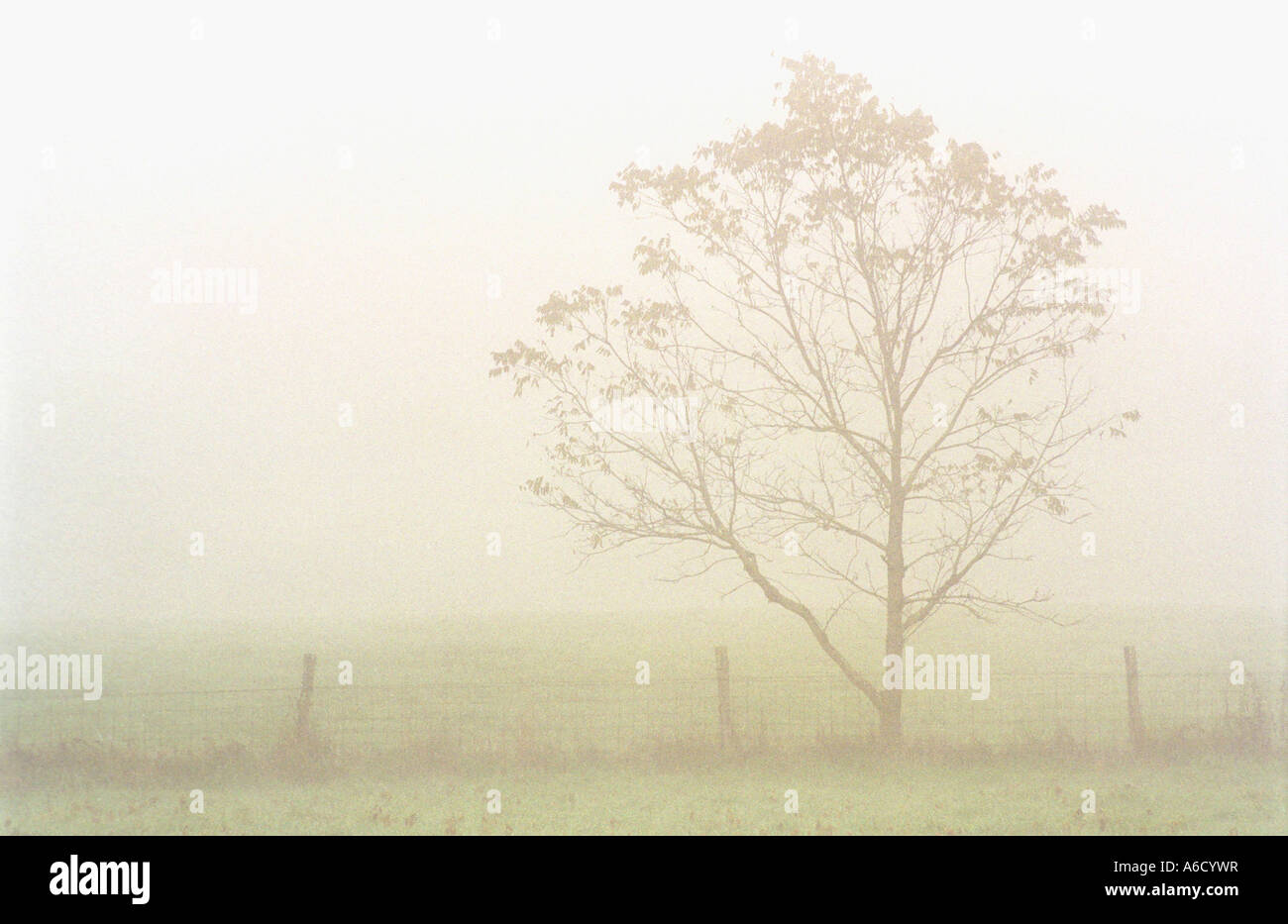 Foggy landscape with fence hi-res stock photography and images - Alamy