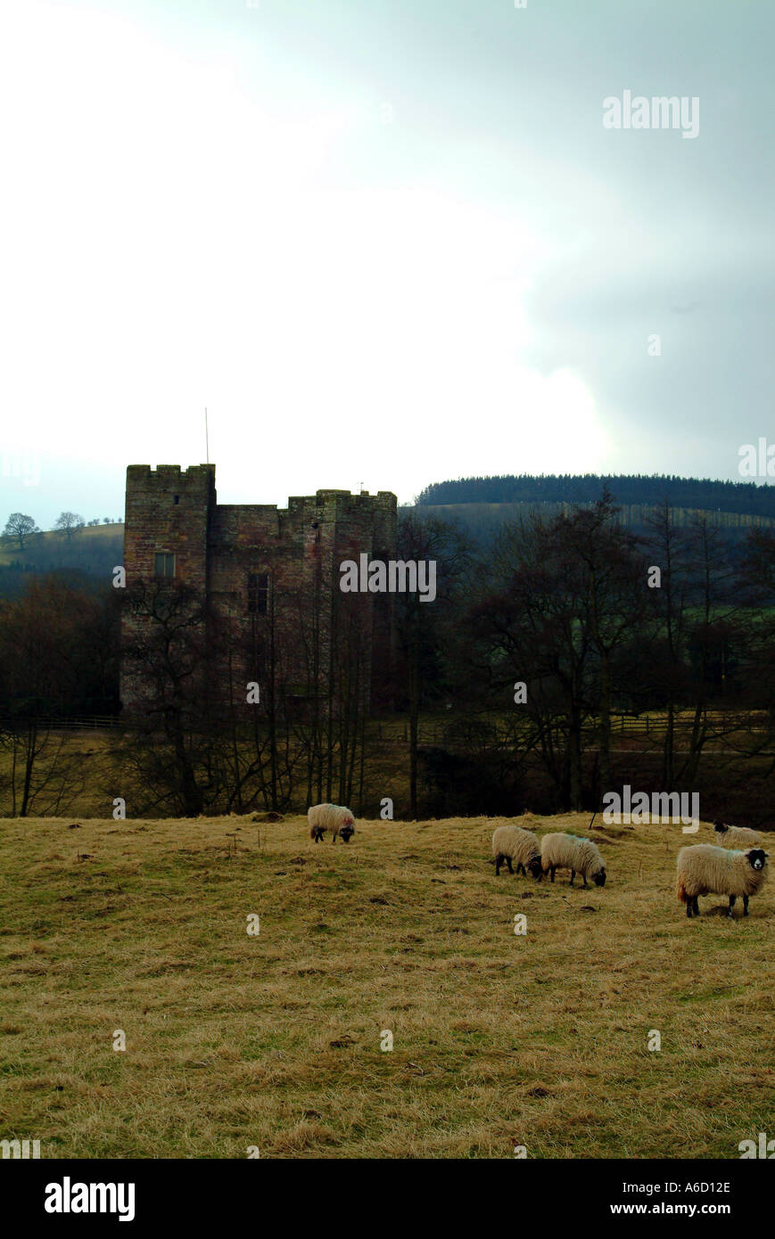 Dacre castle hires stock photography and images Alamy