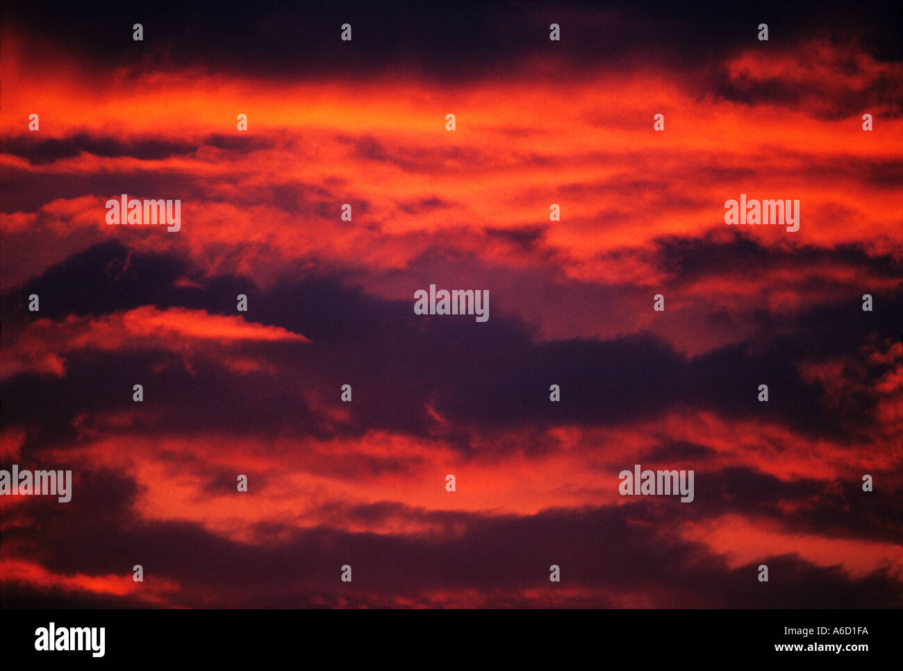 saying: red sky at night, shepherd's delight Stock Photo