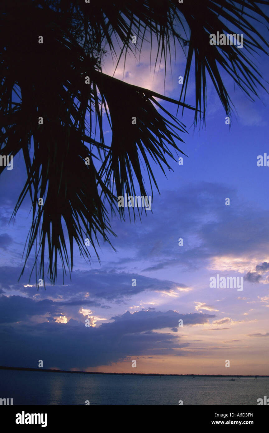Silhouette of palm trees on a beach at sunset Stock Photo - Alamy