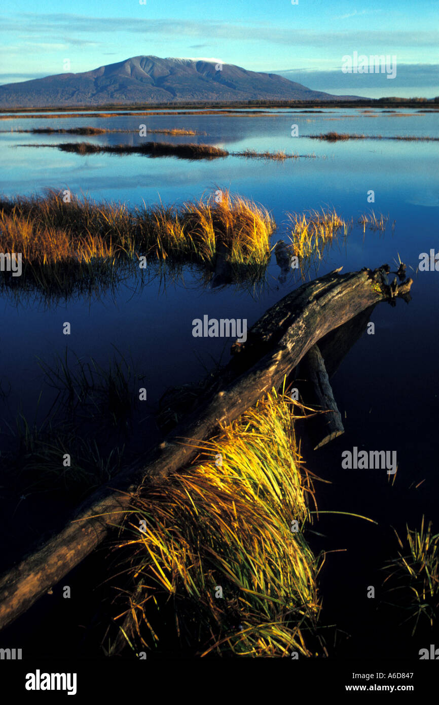 Marhland hi-res stock photography and images - Alamy