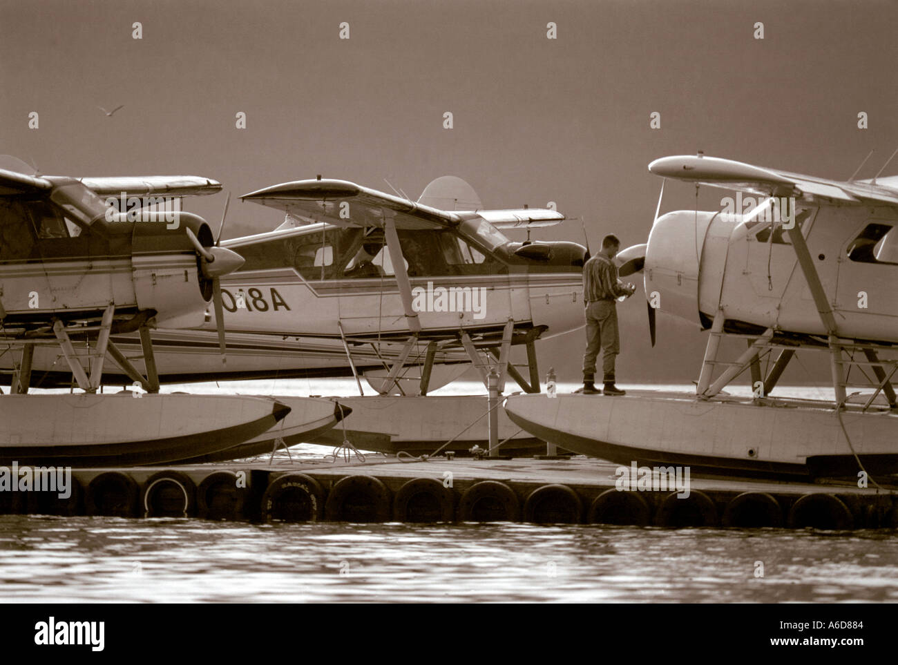 Float planes Ketchikan Alaska Stock Photo Alamy