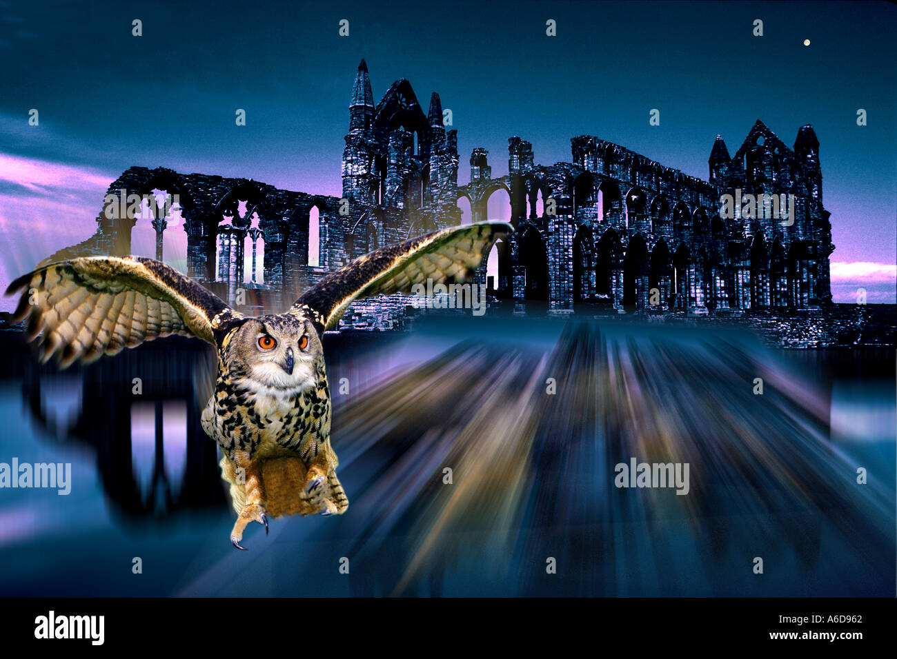 Harry potter owl hires stock photography and images Alamy