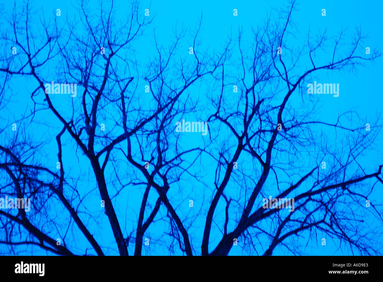 Abstract nature hi-res stock photography and images - Alamy
