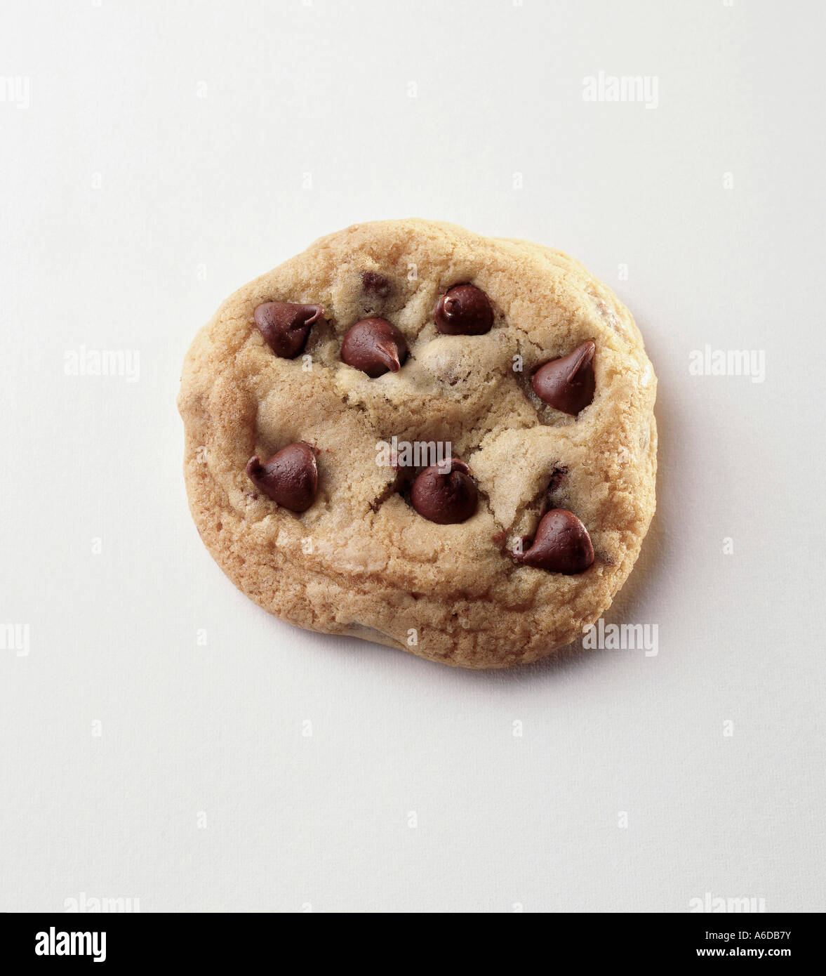 COOKIE visual data 4
