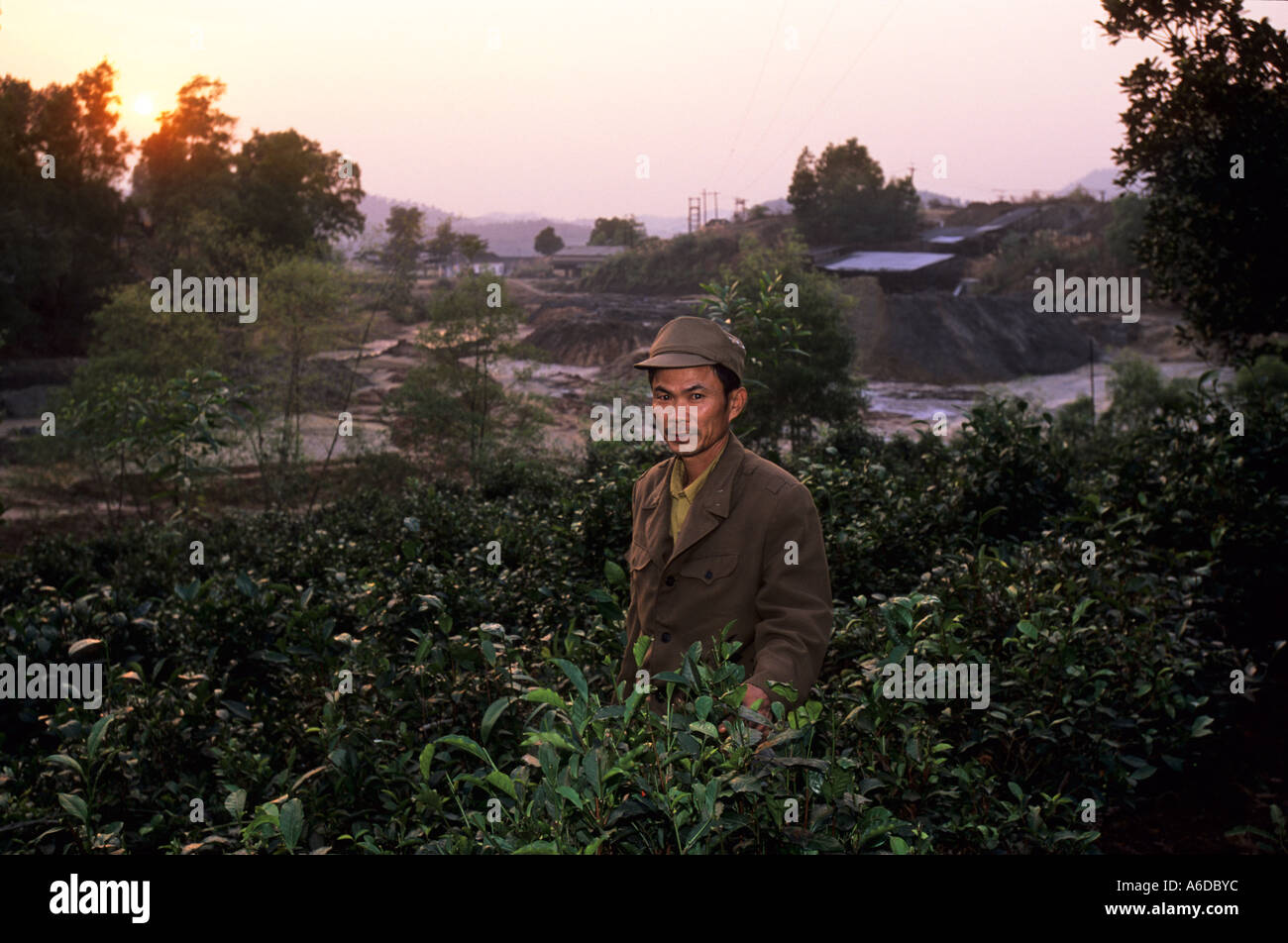 Tin mining operations, Thai Nguyen Province, Vietnam Stock Photo