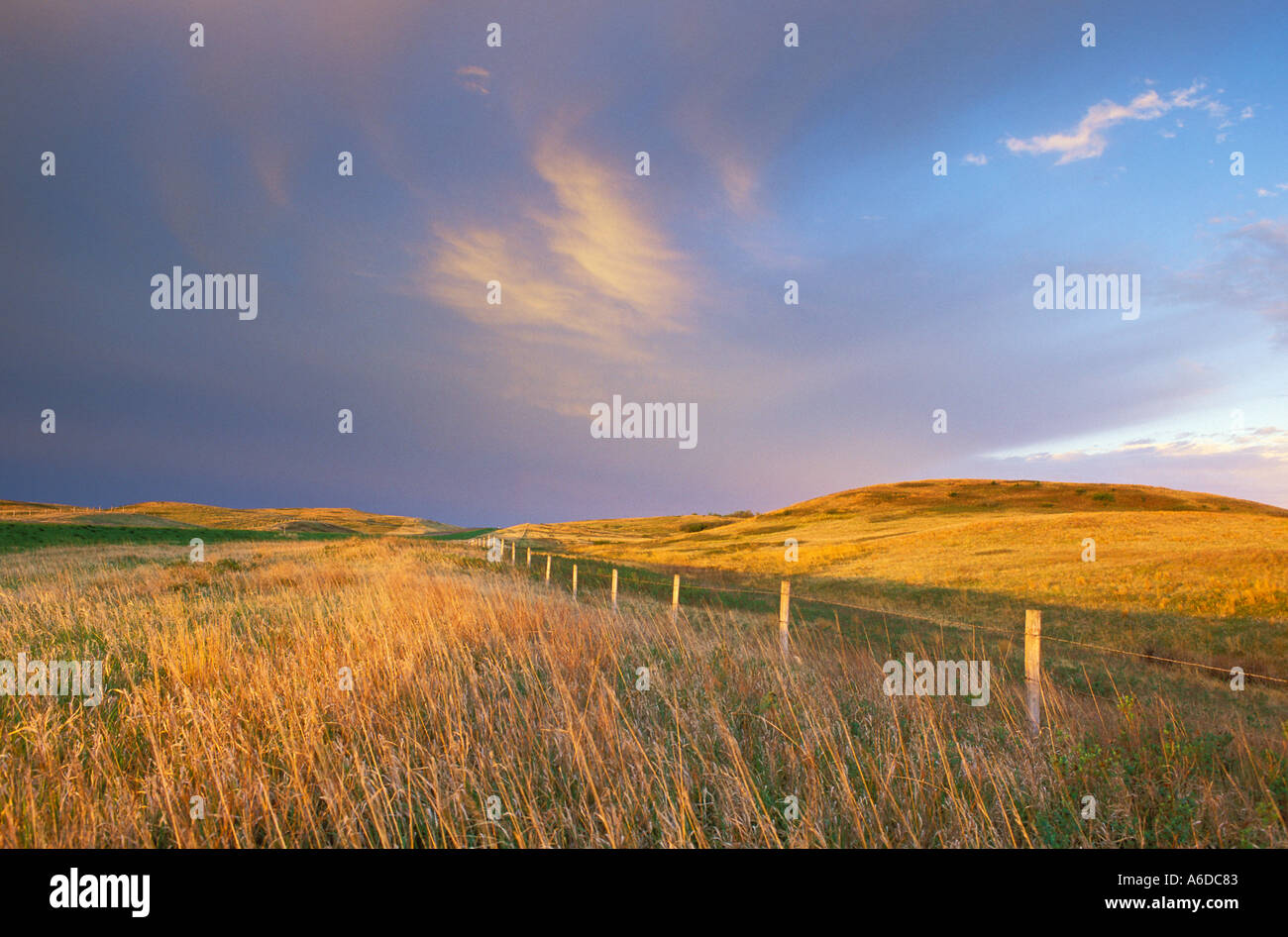 Fence line along the Lewis and Clark Trail in North Dakota Stock Photo