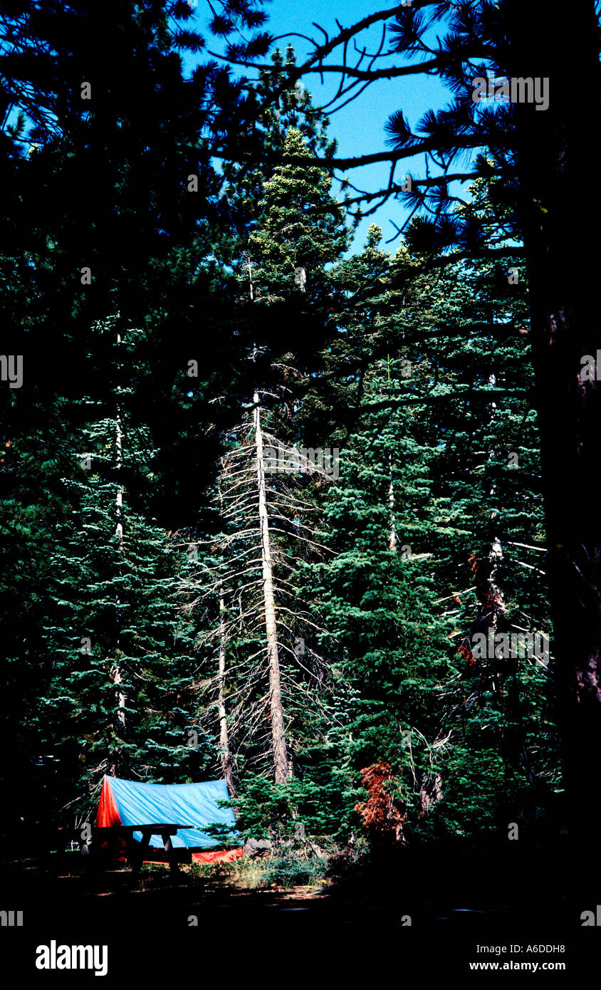 12198 Rf Camping Sugar Pine Point State Park West Side Of Lake