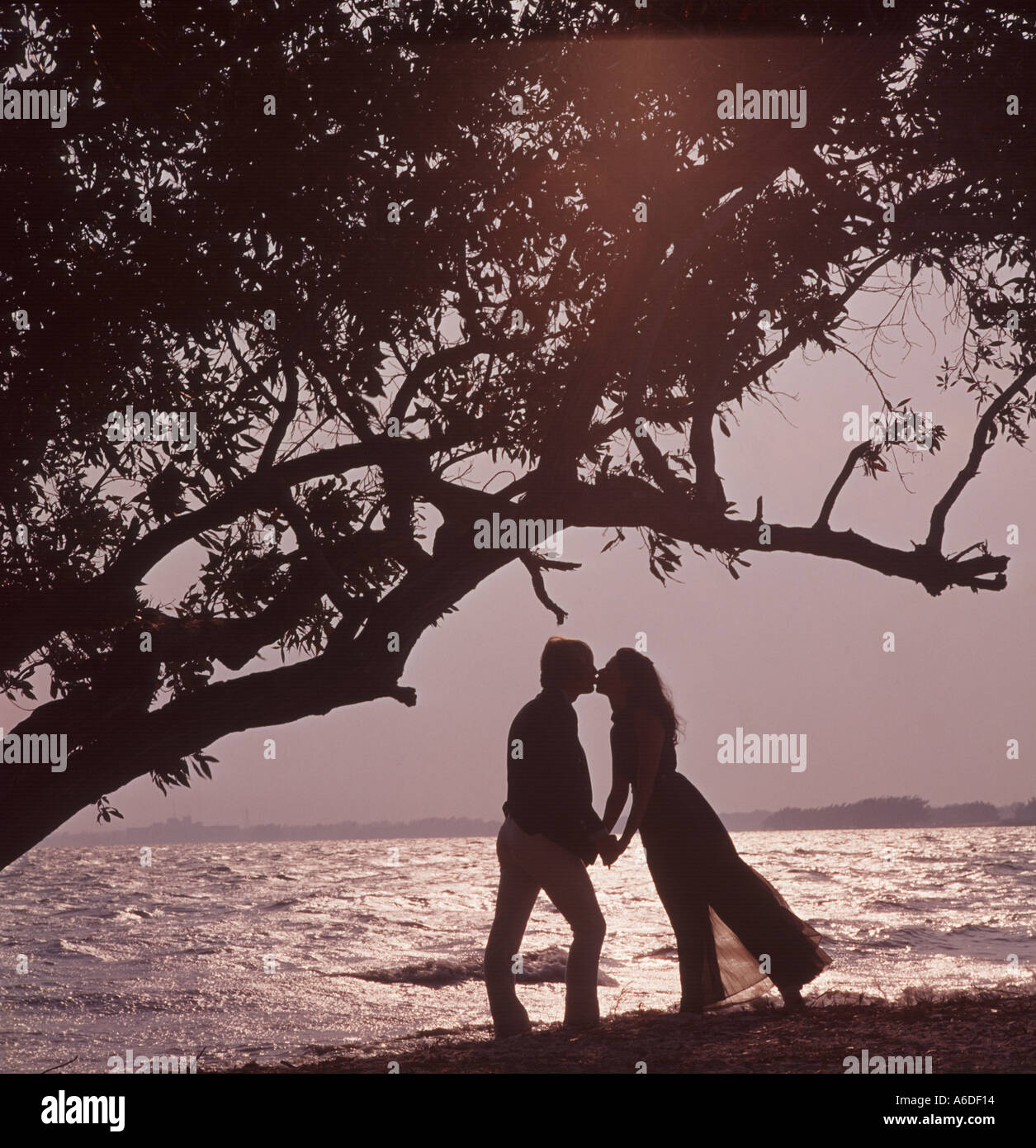 Couple Kissing In The Moonlight At The Beach Stock Photo Alamy