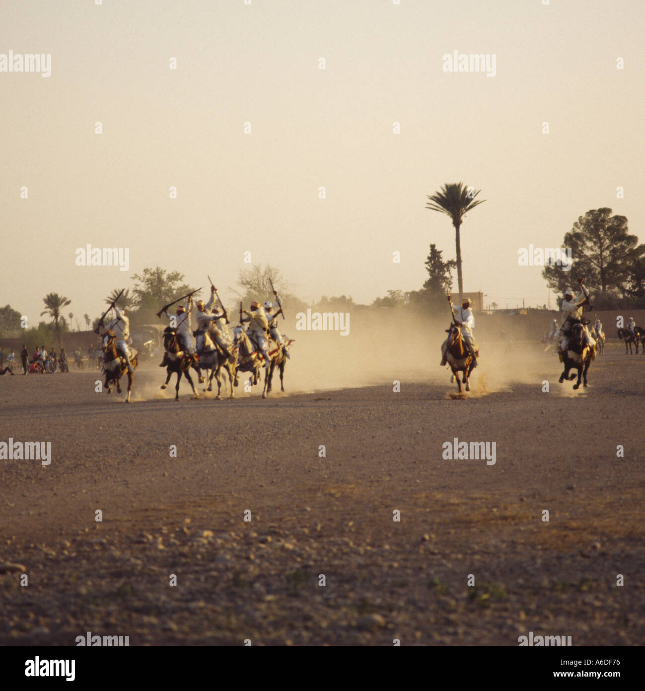 Charging Berber horsemen waving rifles and stirring up dust as they race at a National Festival of Popular Art Marrakech Morocco Stock Photo