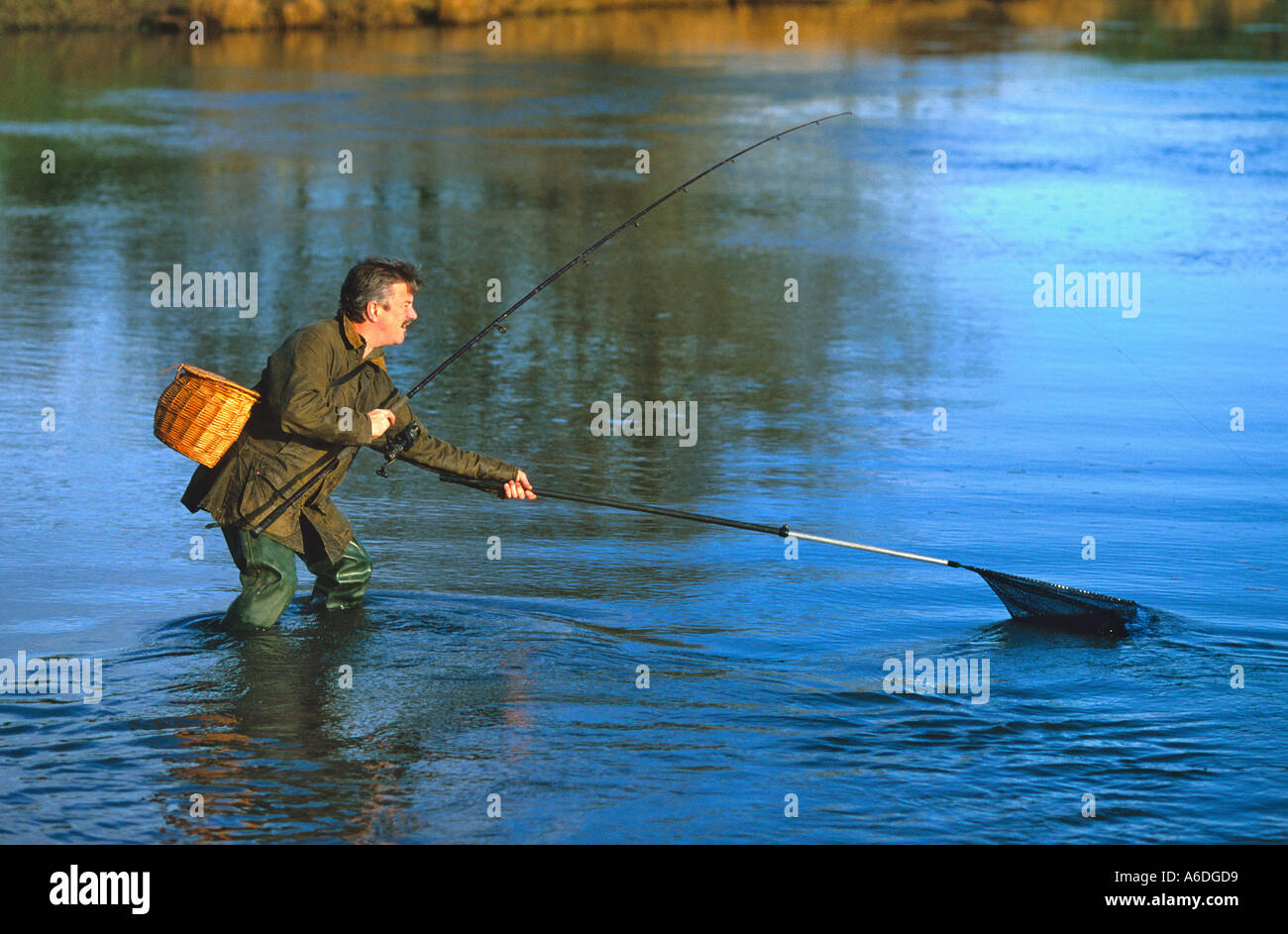 Fisherman Catching Pike In River Stour In Dorset Stock Photo Alamy