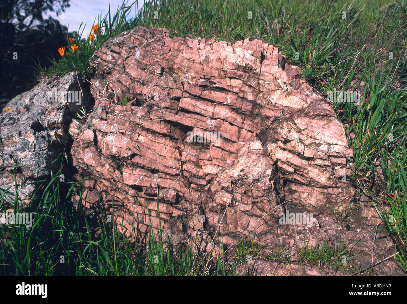24700a Chert beds sedimentary rock layers Stock Photo Alamy