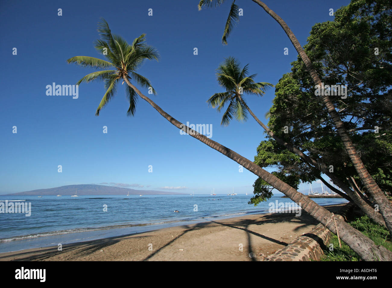 Lahaina Maui Hawaii Stock Photo - Alamy