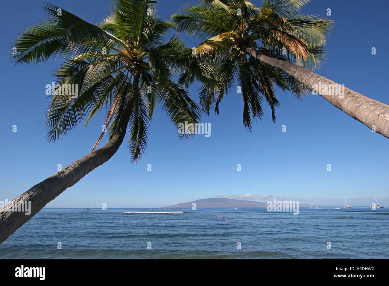 Lahaina Maui Hawaii Stock Photo - Alamy